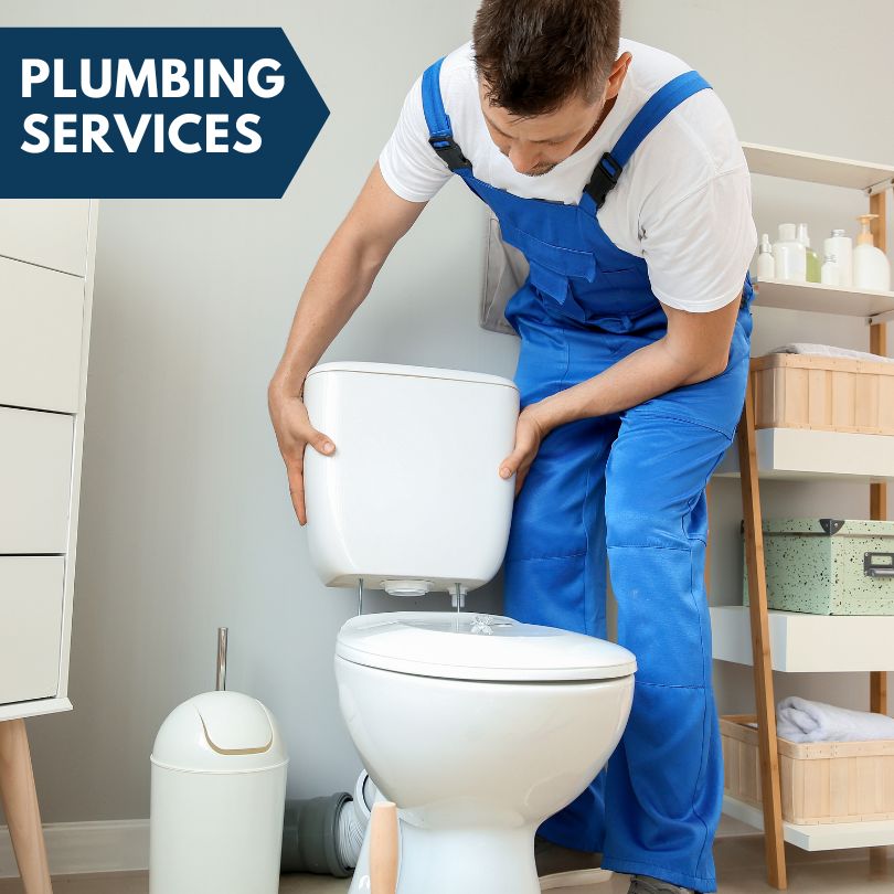 Plumbing Company in Fox Lake, IL
